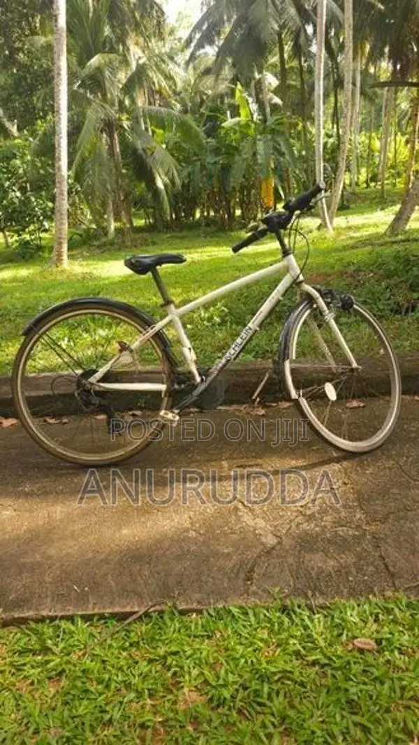 Japanese Cycle