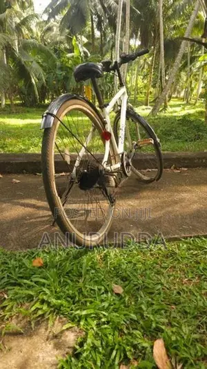 Japanese Cycle