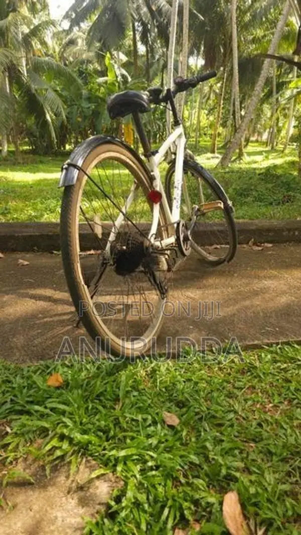 Japanese Cycle