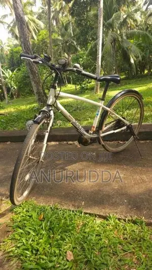 Japanese Cycle