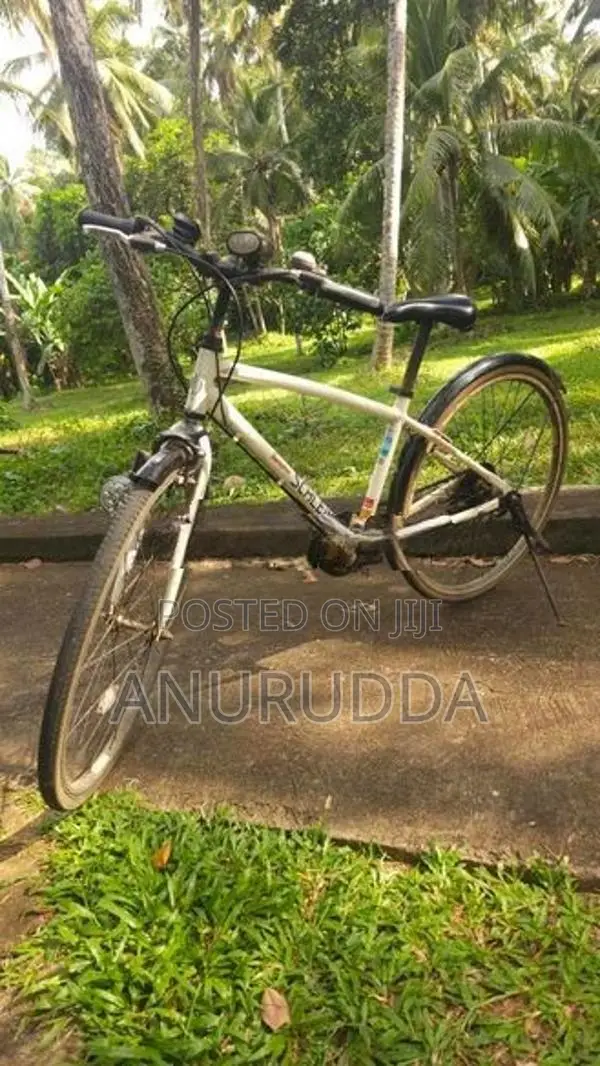 Japanese Cycle
