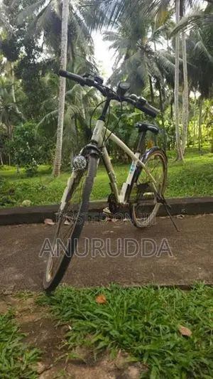 Japanese Cycle
