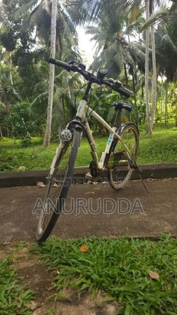 Japanese Cycle