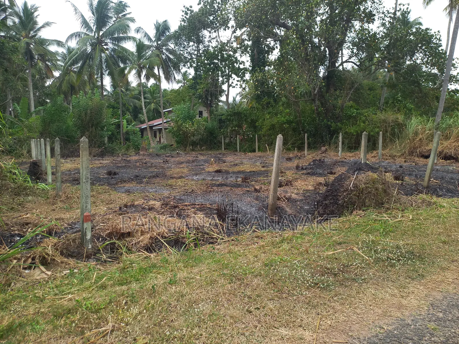 Land for Sale in Kuliyapitiya