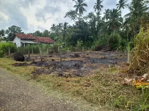 Land for Sale in Kuliyapitiya