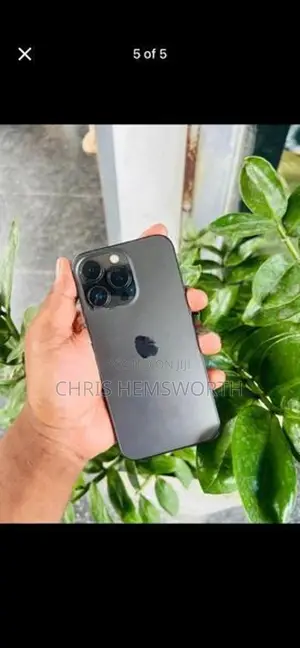 Apple iPhone 13 Pro (Used)