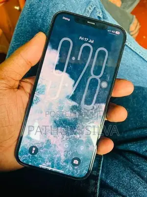 Apple iPhone 12 Pro Max (Used)