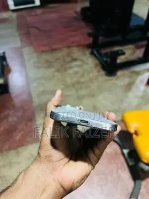Apple iPhone 15 Pro Max (Used)