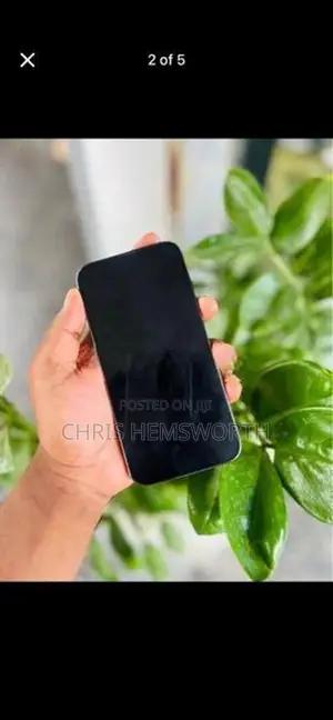 Apple iPhone 13 Pro (Used)