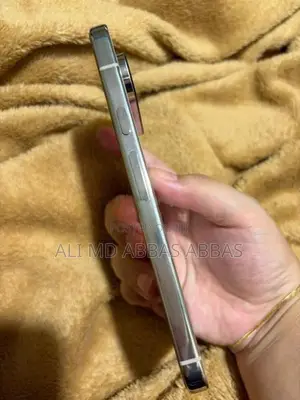 Google Pixel 10 Pro XL (Used)