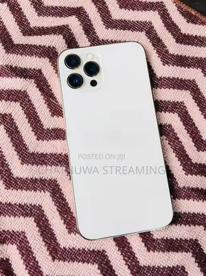 Apple iPhone 12 Pro Max (Used)