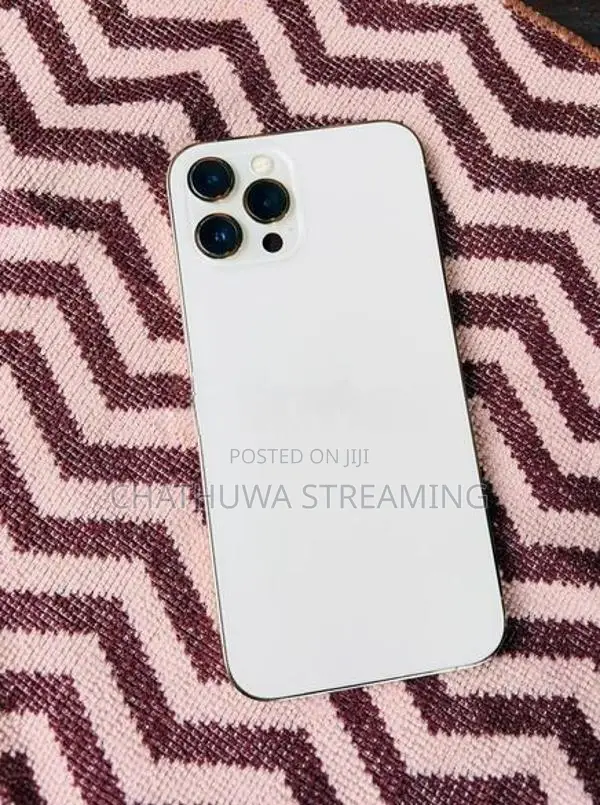 Apple iPhone 12 Pro Max (Used)
