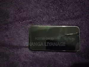 Apple iPhone 13 Pro Max (Used)
