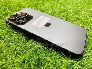 Apple iPhone 15 Pro Max 256GB (Used)