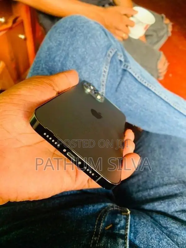 Apple iPhone 12 Pro Max (Used)