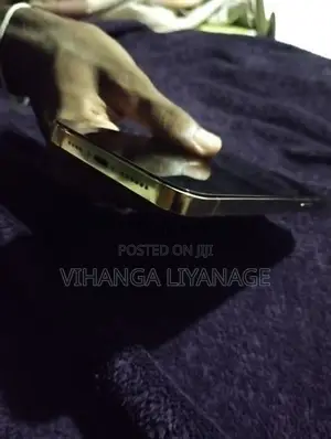 Apple iPhone 13 Pro Max (Used)