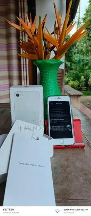 Apple iPhone 7 (Used)