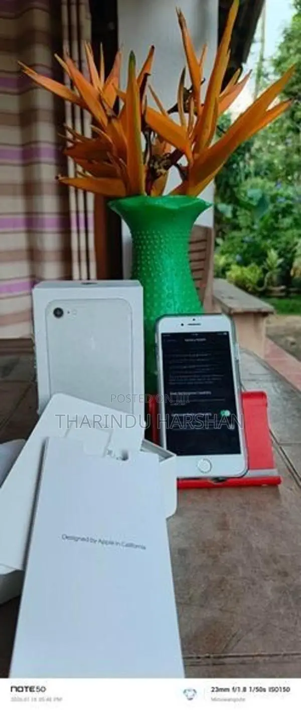 Apple iPhone 7 (Used)