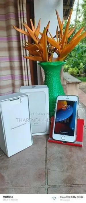 Apple iPhone 7 (Used)