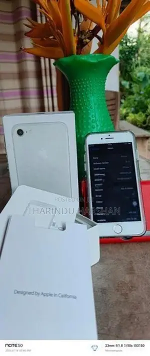 Apple iPhone 7 (Used)