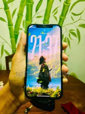 Apple iPhone 12 Pro 256GB (Used)