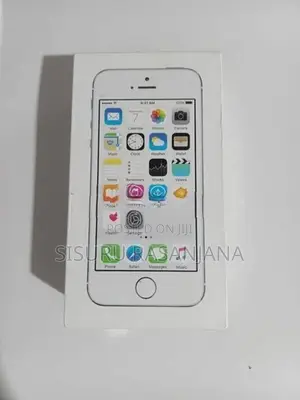 Apple iPhone 5S (Used)