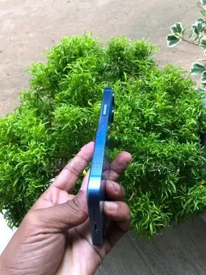 Apple iPhone 13 Blue Edition (Used)