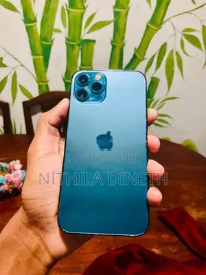 Apple iPhone 12 Pro 256GB (Used)