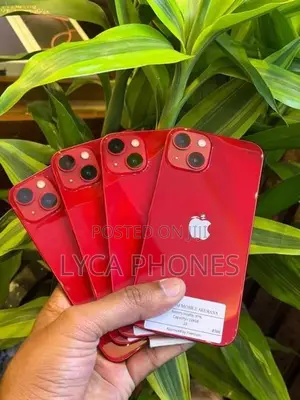 Apple iPhone 13 128GB (Used)
