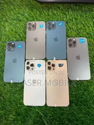 Apple iPhone 12 Pro Max 256GB (Used)