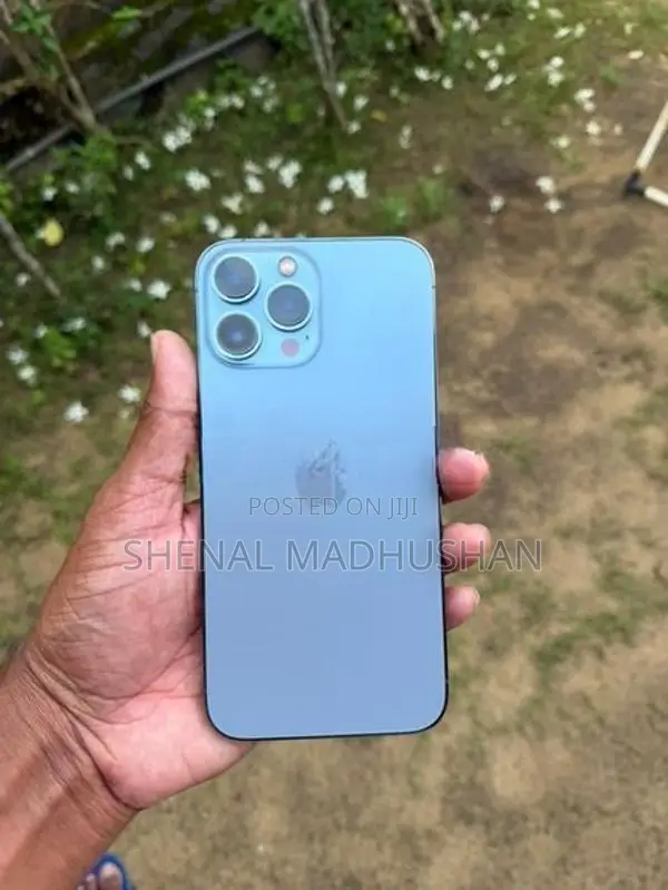 Apple iPhone 13 Pro Max (Used)