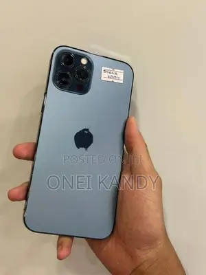 Apple iPhone 12 Pro Max 256GB (Used)