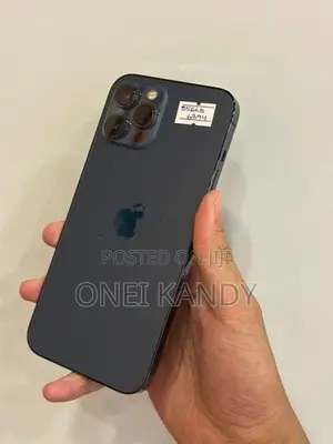 Apple iPhone 12 Pro Max 256GB (Used)