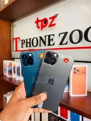 Apple iPhone 12 Pro Max (Used)