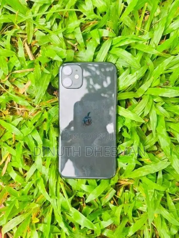 Apple iPhone 11 (Used)