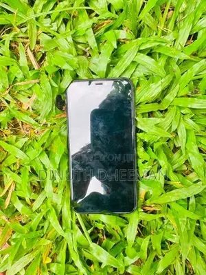 Apple iPhone 11 (Used)