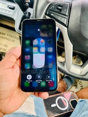 Apple iPhone 12 Pro Max (Used)