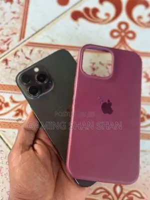 Apple iPhone 13 Pro Max 256GB (Used)