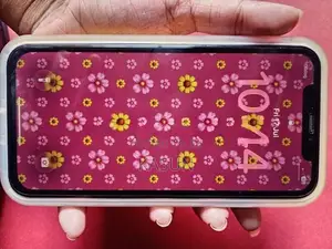 Apple iPhone 11 (Used)