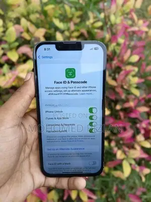 Apple iPhone 13 (Used)