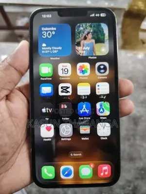 Apple iPhone 13 Pro Max 256GB (Used)