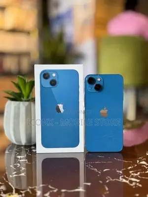 Apple iPhone 13 128GB (Used)
