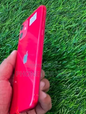 Apple iPhone 11 (Used)