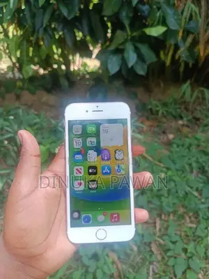 Apple iPhone 6S 64GB (Used)