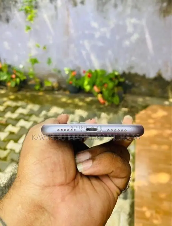 Apple iPhone 11 (Used)
