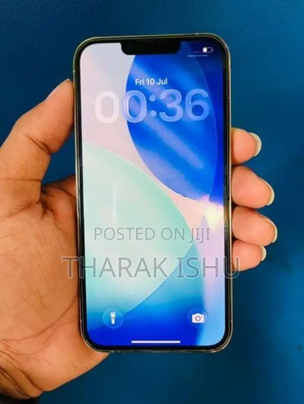 Apple iPhone 13 Pro (256GB) (Used)