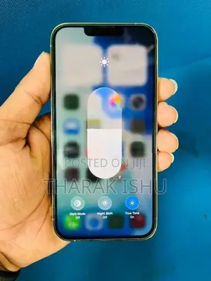 Apple iPhone 13 Pro (256GB) (Used)