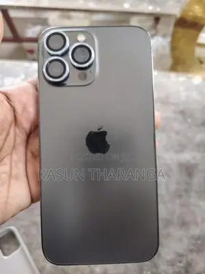 Apple iPhone 13 Pro Max 256GB (Used)
