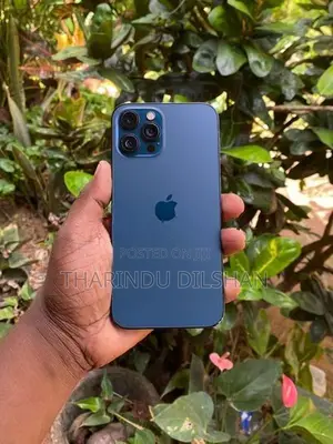 Apple iPhone 12 Pro Max (Used)