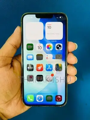 Apple iPhone 13 Pro (256GB) (Used)